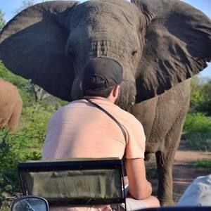 Meet your Posher, Nick